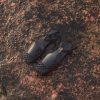 Rivermistrobes.shopca21821d5d 1